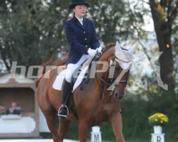 broodmare Wellaby (Hanoverian, 1996, from Weltmeyer)