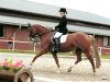 dressage horse Chrystal Night (German Riding Pony, 2003, from Cocky Man)