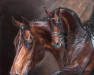 stallion Rohdiamant (Oldenburg, 1990, from Rubinstein I)