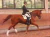 dressage horse Big Show (Oldenburg, 2009, from Borowski)