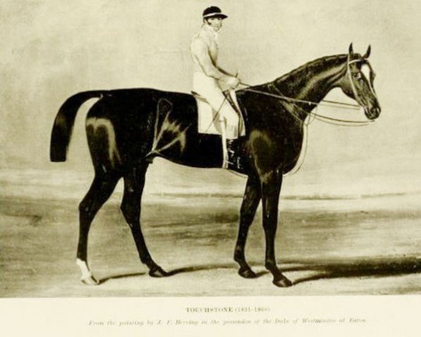 Deckhengst Touchstone xx (Englisches Vollblut, 1831, von Camel xx)