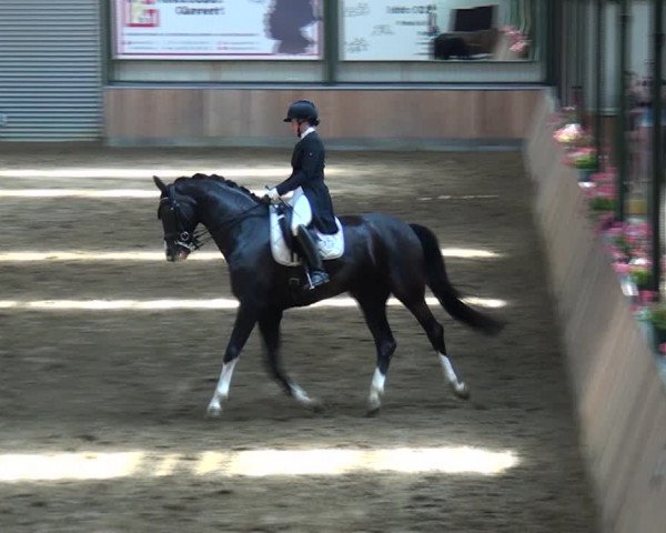 Reitturnier Rhede 2021