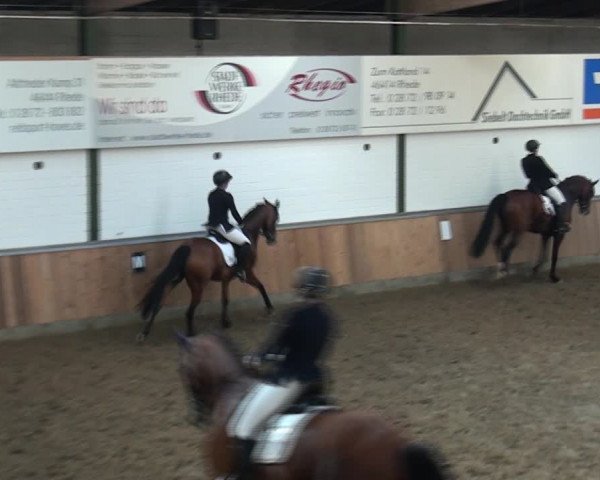 Reitturnier Rhede 2021