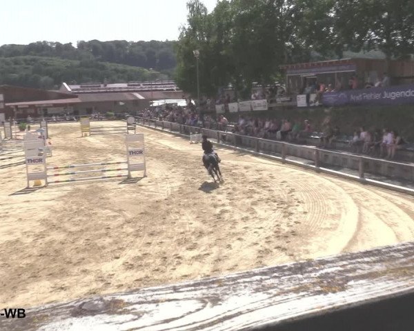 Reitturnier Uder, Reitanlage Kobold 2021