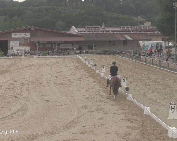 Reitturnier Uder, Reitanlage Kobold 2021