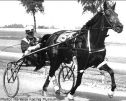 broodmare Scotch Love (US) (American Trotter, 1954, from Victory Song 76207 (US))