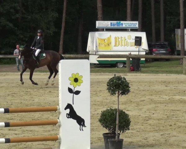 Reitturnier Rhede 2021
