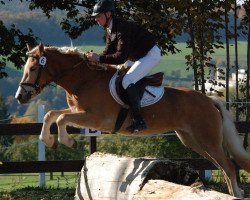 dressage horse No Bless vom Eschachtal (Edelbluthaflinger, 2010, from Nekoma II (2,34% ox))