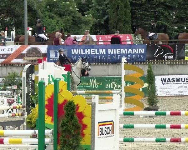 Reitturnier Melle-Ostenfelde 2021