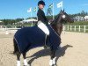 broodmare Beyonce (Swedish Riding Pony, 2007, from Magic Dancer H)