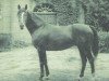 stallion Friedensfuerst xx (Thoroughbred, 1917, from Ard Patrick xx)