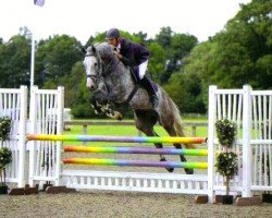 jumper Another Time (KWPN (Royal Dutch Sporthorse), 2006, from Quidam de Revel)