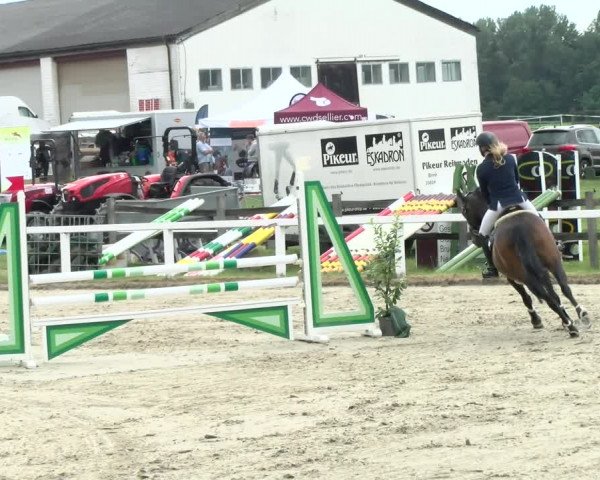Reitturnier Melle-Ostenfelde 2021