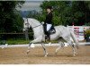 dressage horse Caiserin (Oldenburg show jumper, 2003, from Come On)