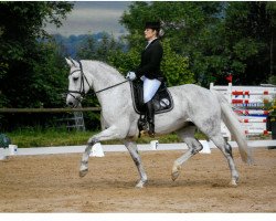 dressage horse Caiserin (Oldenburg show jumper, 2003, from Come On)