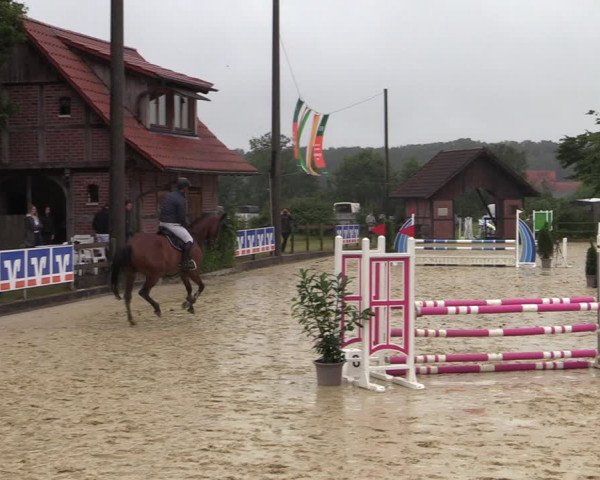 Reitturnier Münster-Nienberge 2021