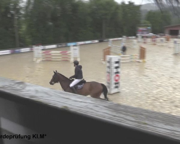 Reitturnier Uder, Reitanlage Kobold 2021