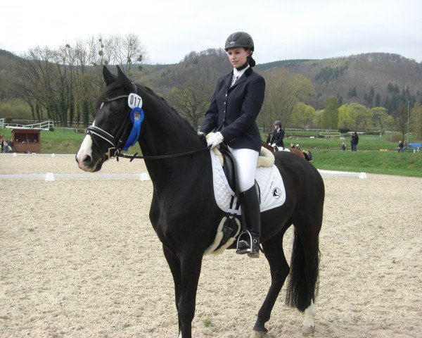 dressage horse Djack-Daniels (Hanoverian, 2007, from Dancier)