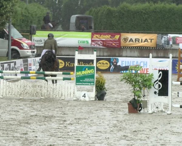 Reitturnier Melle-Ostenfelde 2021