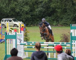 jumper Avanti 227 (Oldenburg show jumper, 2006, from Aralimbo)