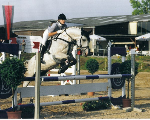 horse Gershwin 78 (German Warmblood, 1994, from Gala Star Z)