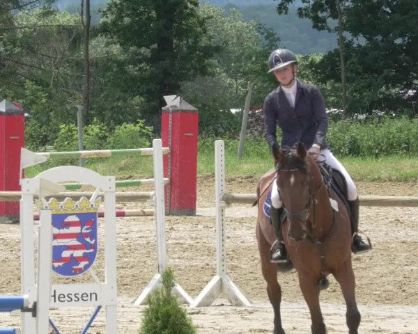 Reitturnier Bad Marienberg - OT Nisterau 2021 - Oberwesterwald