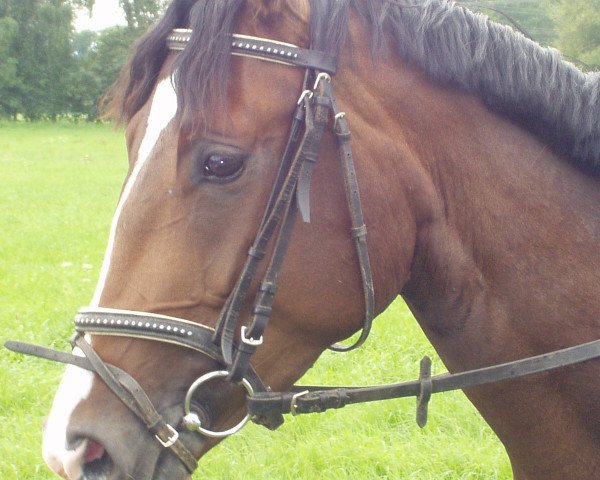 broodmare Grand Ras Tafari (Bavarian, 2007, from Rubicell)