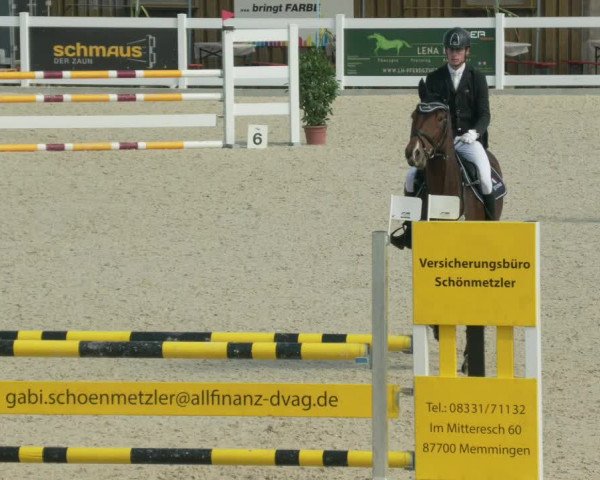 Springturnier Memmingen 2021
