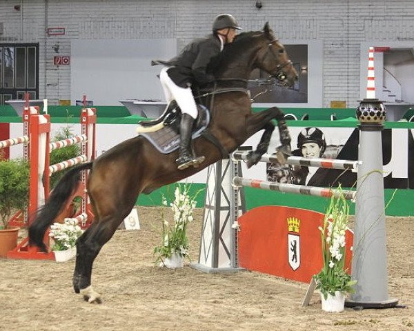 broodmare Gioconda (German Sport Horse, 2004, from Moosbachhofs Goldwing)