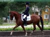 horse Champagner W (German Riding Pony, 1993, from Constantin)