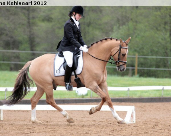 dressage horse Donato W (German Riding Pony, 2002, from FS Don't Worry)