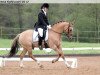 horse Donato W (German Riding Pony, 2002, from FS Don't Worry)