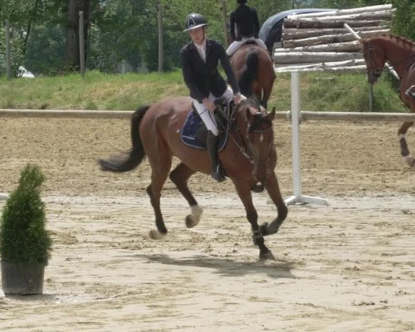 Reitturnier Bad Marienberg - OT Nisterau 2021 - Oberwesterwald