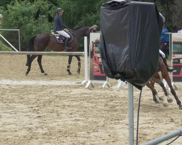 Reitturnier Bad Marienberg - OT Nisterau 2021 - Oberwesterwald