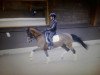 dressage horse All Or Nothing (KWPN (Royal Dutch Sporthorse), 2005, from Prestige)