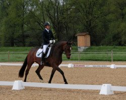 dressage horse Finesse 339 (Westphalian, 2010, from Flatley 2)