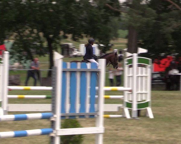 Reitturnier Niederwerbig 2021