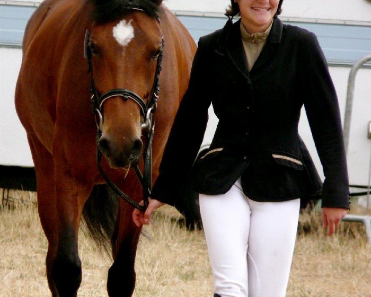 horse Plume De Virey (French Pony, 2003, from Thunder du Blin)
