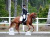 dressage horse Daisys Dorena (German Riding Pony, 2008, from Noir de Luxe)