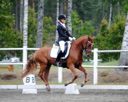 dressage horse Daisys Dorena (German Riding Pony, 2008, from Noir de Luxe)