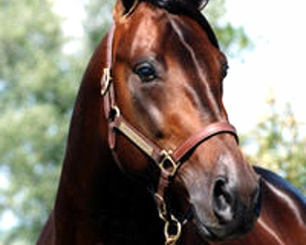 stallion Valley Victory MV961 (US) (American Trotter, 1986, from Baltic Speed 3578Z (US))