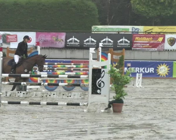 Reitturnier Melle-Ostenfelde 2021