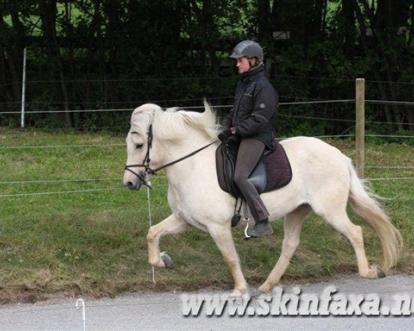 Pferd Vanadis von Katensen (Islandpferd, 2005, von Vallarblossi von Katensen)