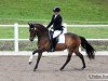 broodmare Dolce (German Riding Pony, 2002, from Donnerblitz)