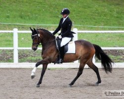 broodmare Dolce (German Riding Pony, 2002, from Donnerblitz)