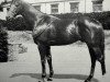 broodmare Anne la Douce xx (Thoroughbred, 1958, from Silnet xx)
