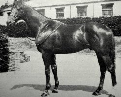 broodmare Anne la Douce xx (Thoroughbred, 1958, from Silnet xx)