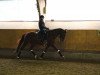 dressage horse Barelli 3 (Westphalian, 2009, from Beltoni)