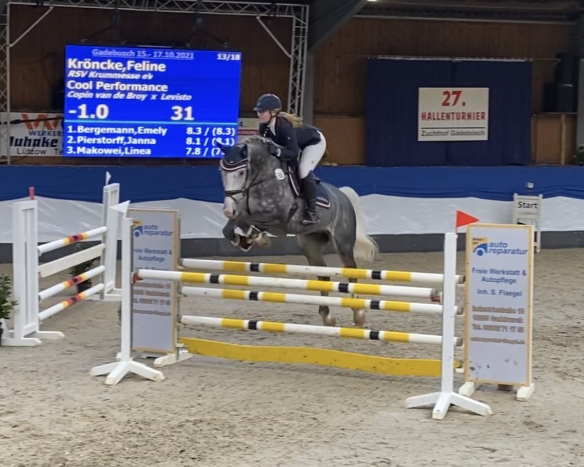 jumper Cool Performance (Holsteiner, 2014, from Hh Copin van de Broy)