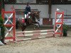 jumper Don Foxi (Welsh-Pony (Section B), 2000, from Mahrdorf Trabant)